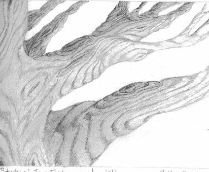 tree study