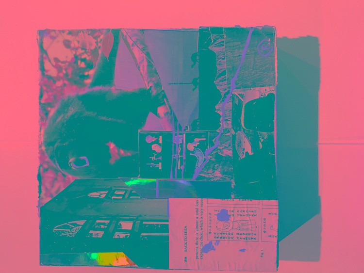 IMG 0379