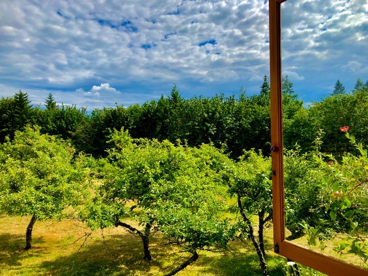 Merridale Cider Orchard 
