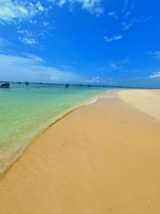 Suunny Beach