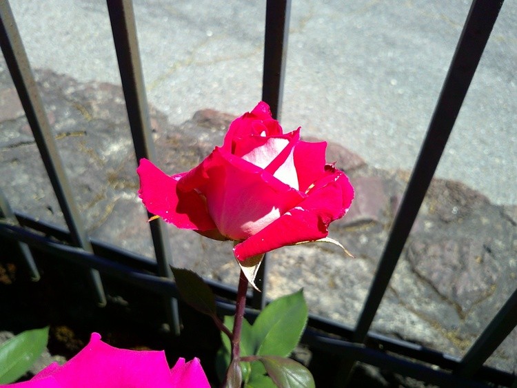DSCF0058