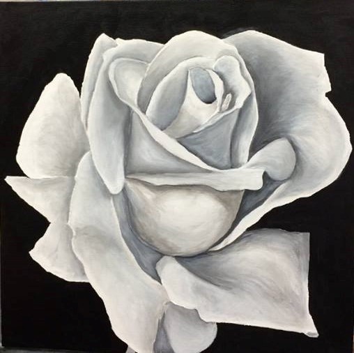 white rose