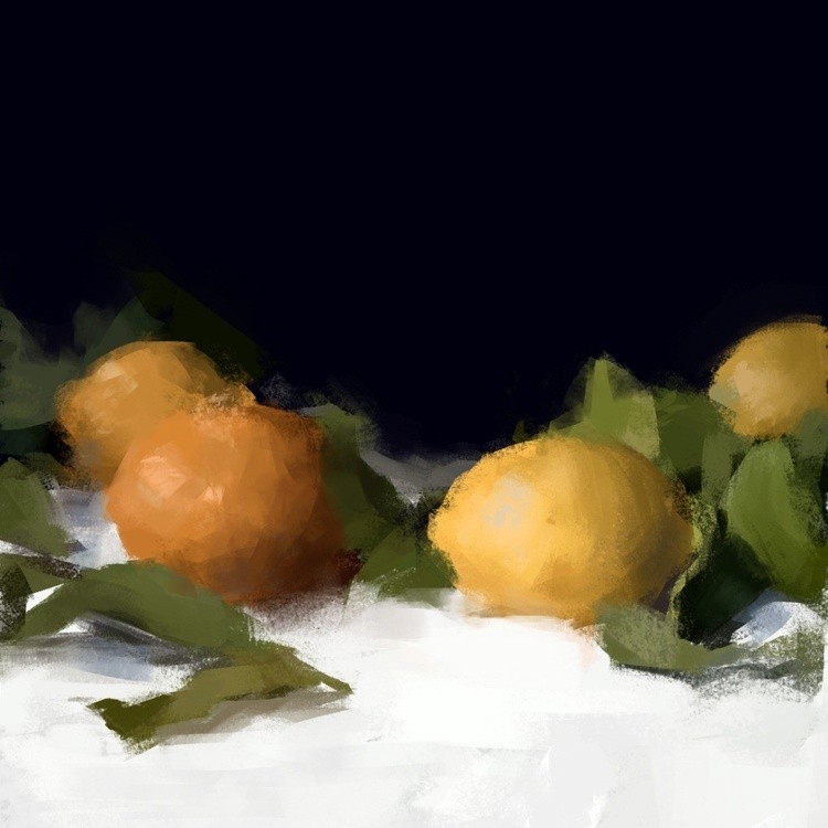 Still life study