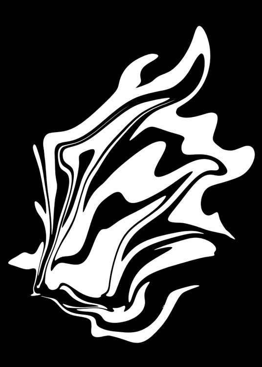 Tigre Blanco