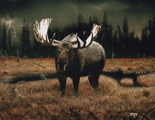 DISTANT THUNDER PRINT on CANVASS
