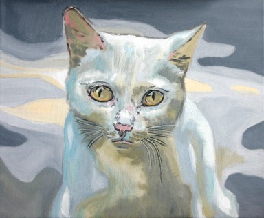 Kitten 1