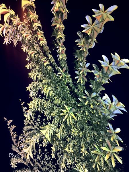 Floral010