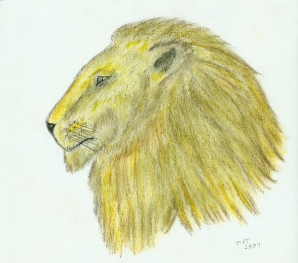 Lion Head