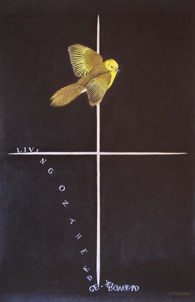 Living on the Edge/yellowhead