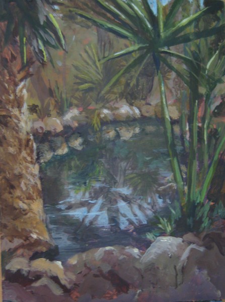 Turtle Pond UofA