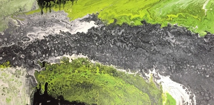 1262x623