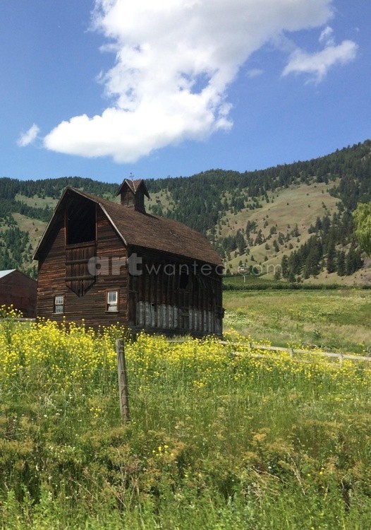 rustic barn