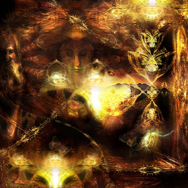 the last Dance of Butterflies 