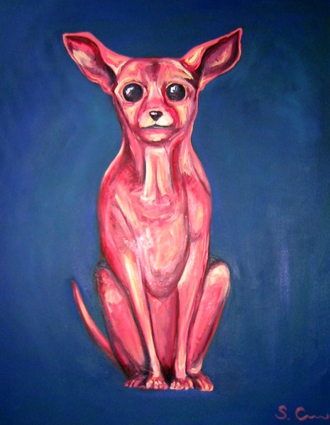 Pink Chihuahua