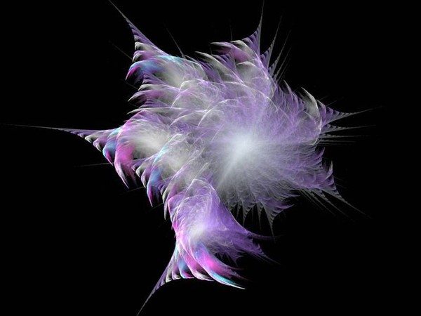 A Fractal Star.