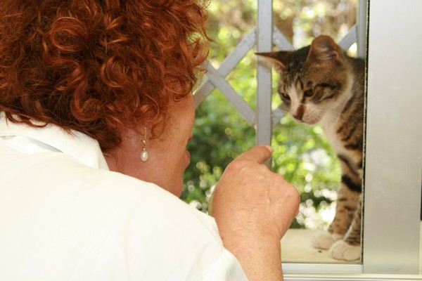 Renée, the Cat Lover