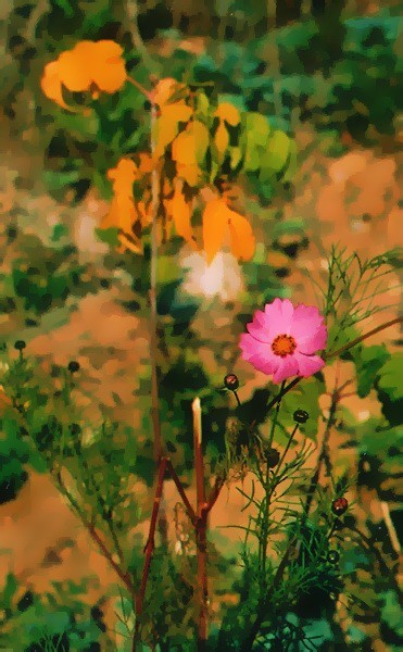 along the way