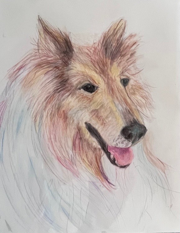 My dog River