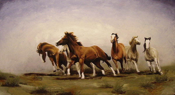 Thunder on the desert