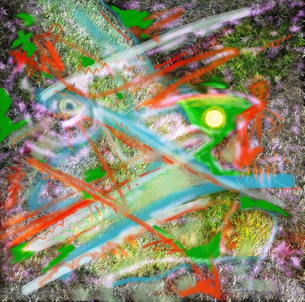 Green Eyed Groper Man