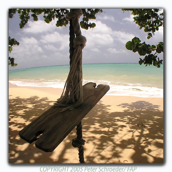 Swing