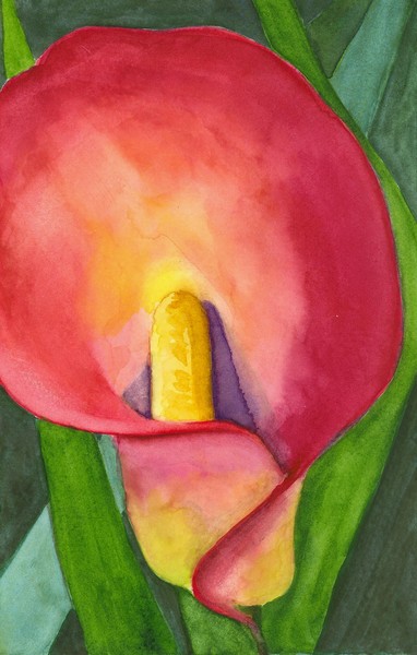 Lily