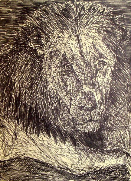 lion