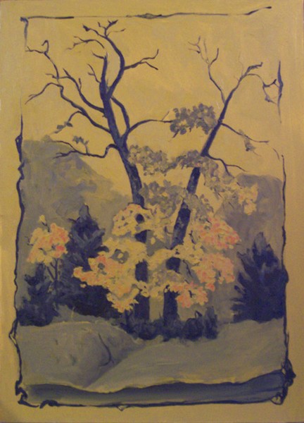 quercus stellata