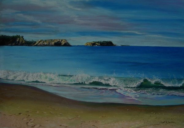 Later Afternoon Guerilla Bay