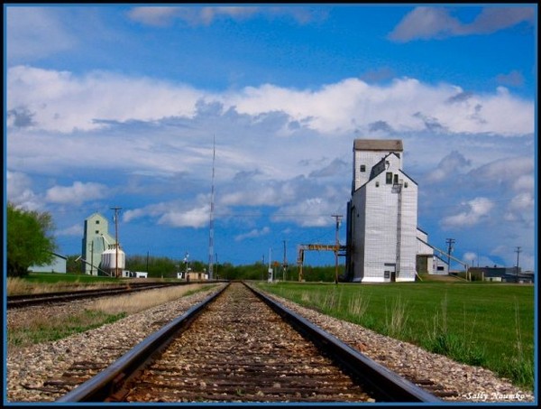 Souris Elevator