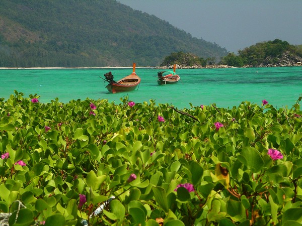 Tropical island - Thailand