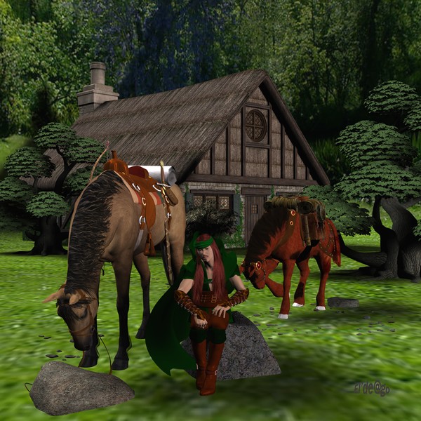 Rangers of Armin Jerad 