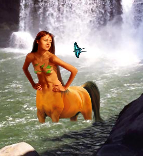 The Butterfly