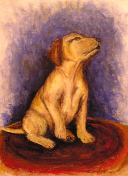 Lab Pup