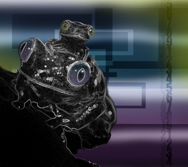 Digilog Frogs