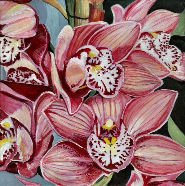 Climbing Orchids, Part 1 of 2, Top