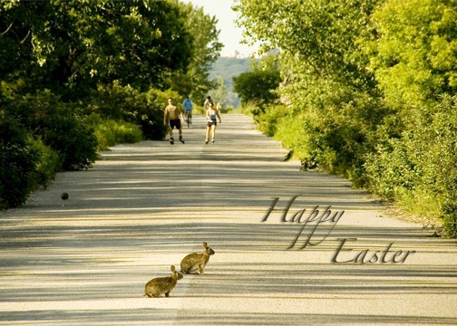 Happy Easter, Everyone 