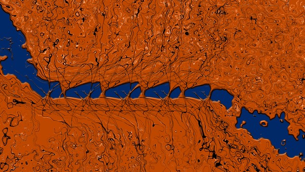 Blue Orange Interaction