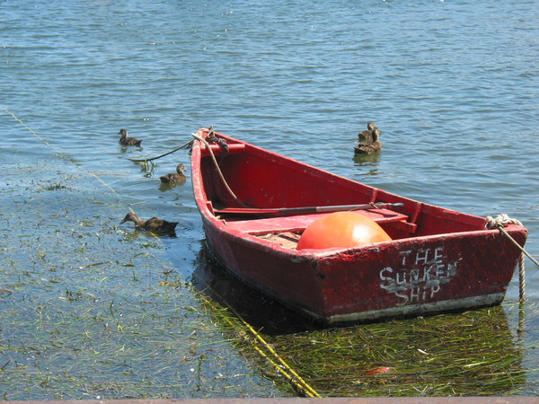 Summer Boat