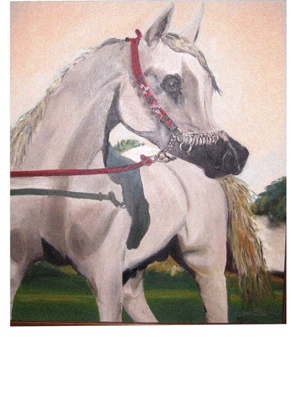 The proud horse