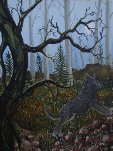 grey wolf