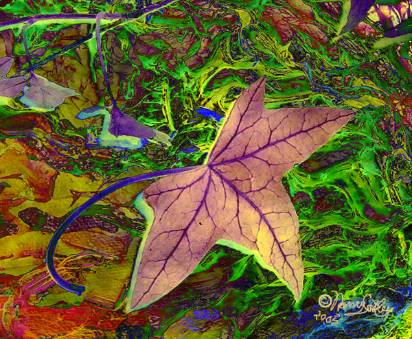 Ivy Veins