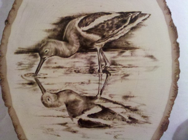 koi fish woodburning