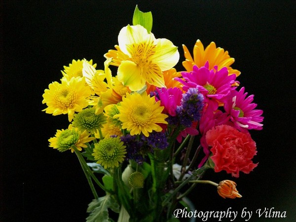 Untitled (Bouquet of Flowers)