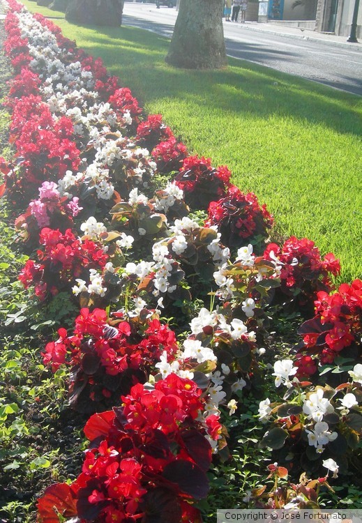 Beautiful sunday to all