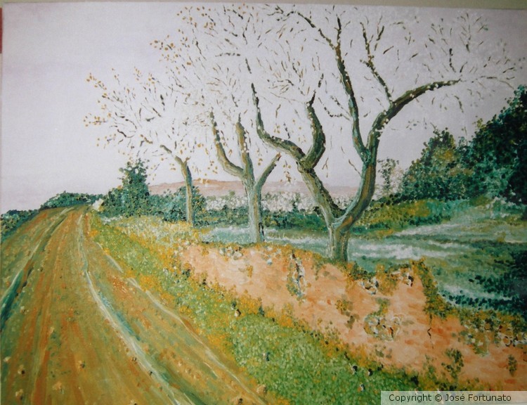 Amendoeiras de Estoi