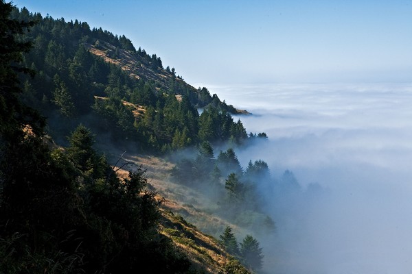 The Lost Coast Lost in Fog