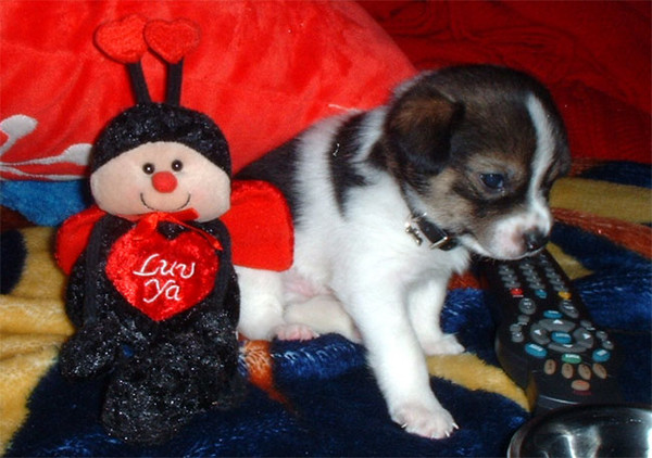 My new baby...