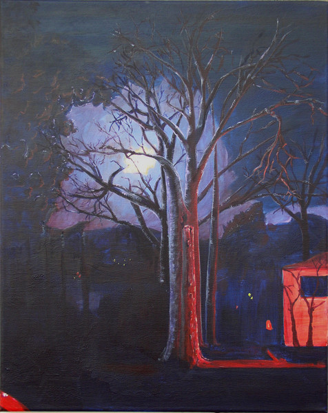 Ozark Lights