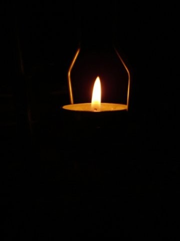 photo8